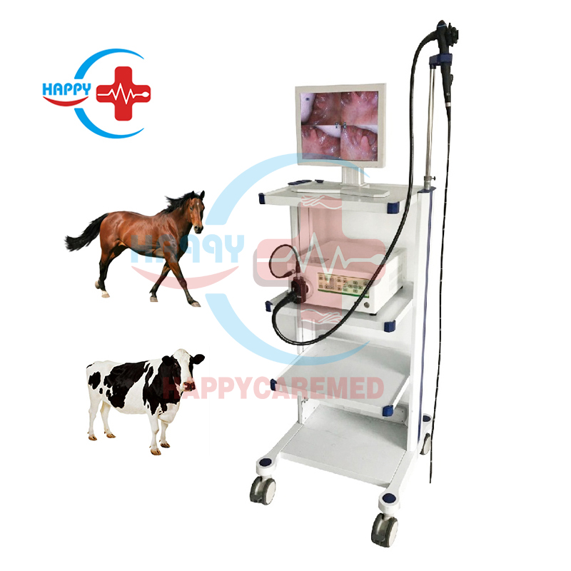 Veterinary flexible endoscope system for big animals with 19