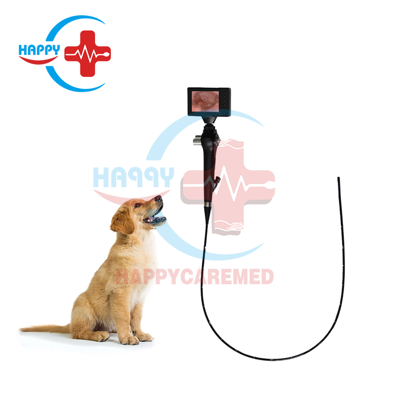 Système d'endoscope vidéo portable vétérinaire spécial pour chiens et chats