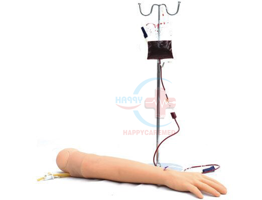 Advanced arm venipuncture and deltoid injection model