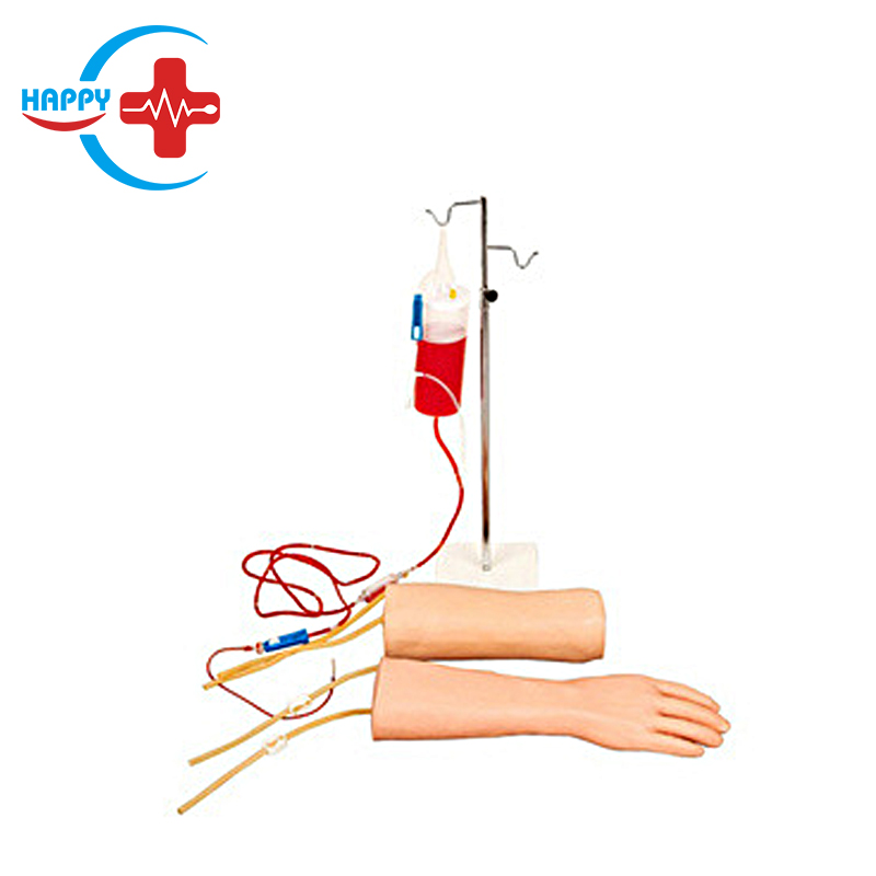 Hand and elbow combined vein (blood) training model